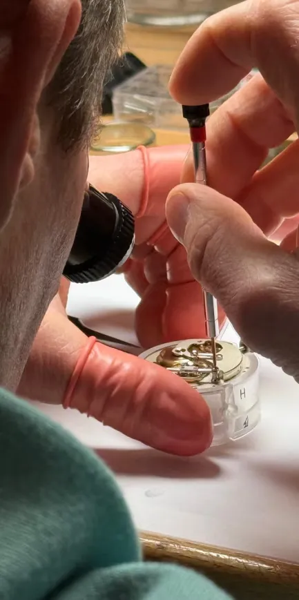 CLEGUER Horology — escapement bridge macro